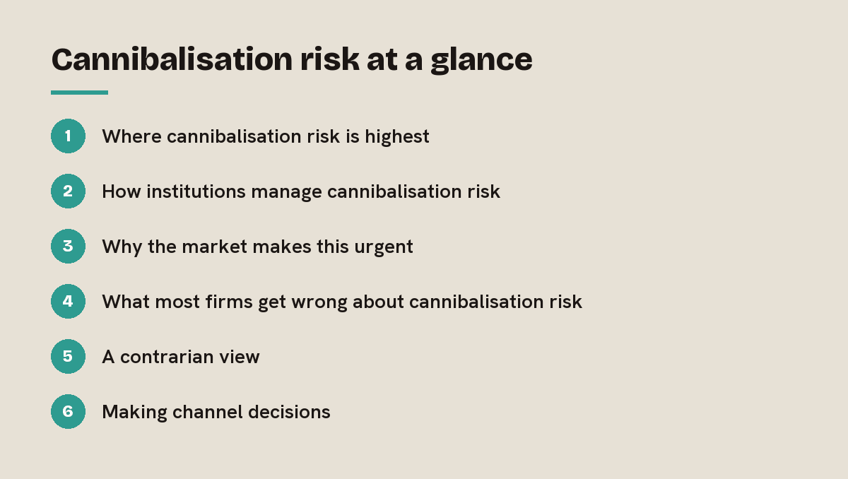 Cannibalisation risk at a glance: outline of the 6 sections in this answer