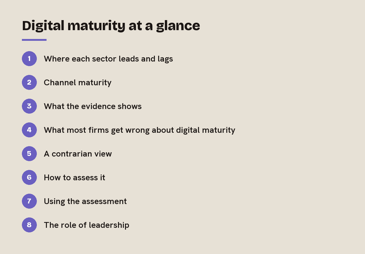 Digital maturity at a glance: outline of the 8 sections in this answer
