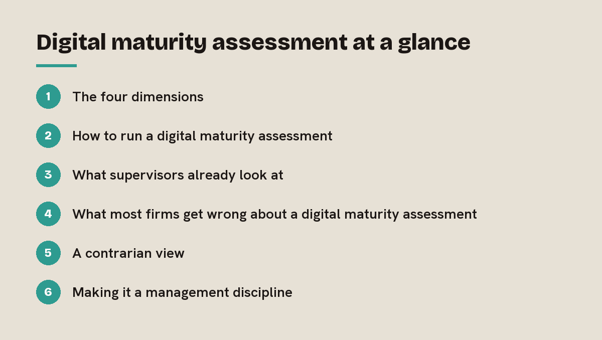 Digital maturity assessment at a glance: outline of the 6 sections in this answer